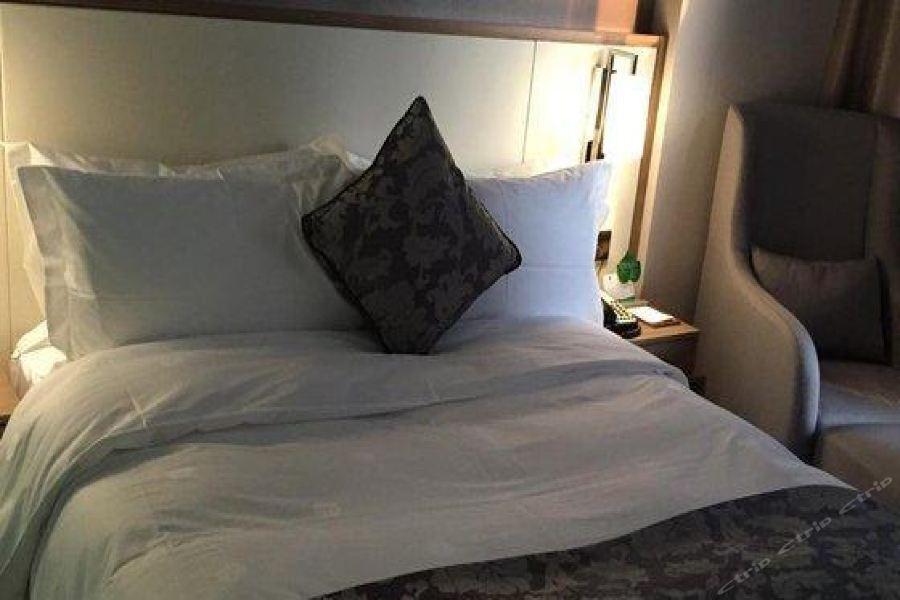 Hongdu Hotel Shenzhen Exterior photo